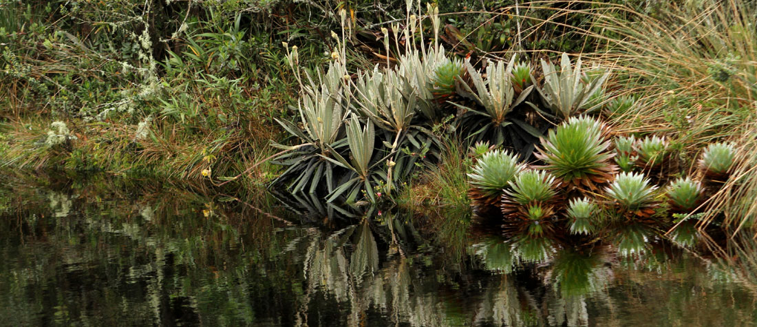 mapa-paramo-Belmira