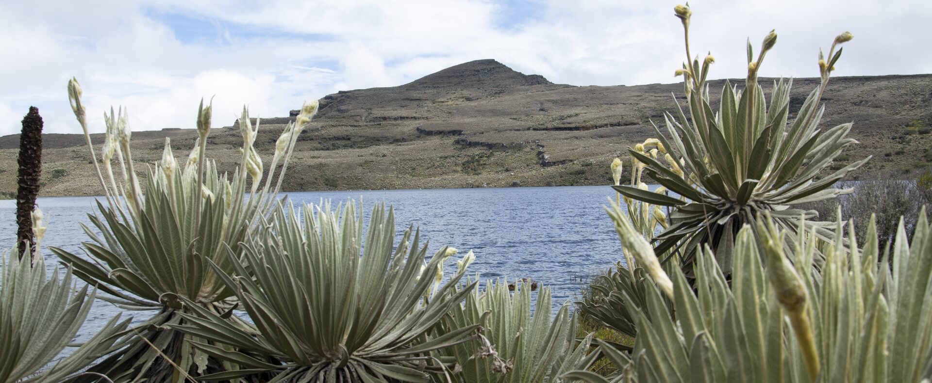 sumapaz