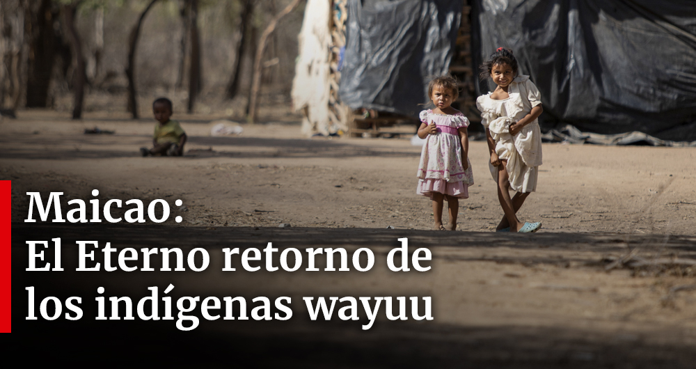 Maicao: El eterno retorno de los indígenas wayuu a Venezuela - Proyecto Migración Venezuela / Semana - Semana.com