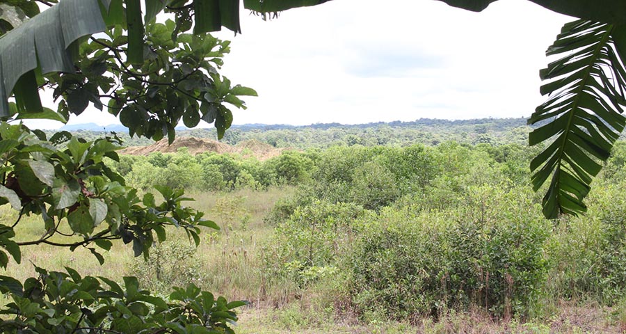 Camino a una mina de oro y platino. Fotografía: Klarem Valoyes Gutiérrez