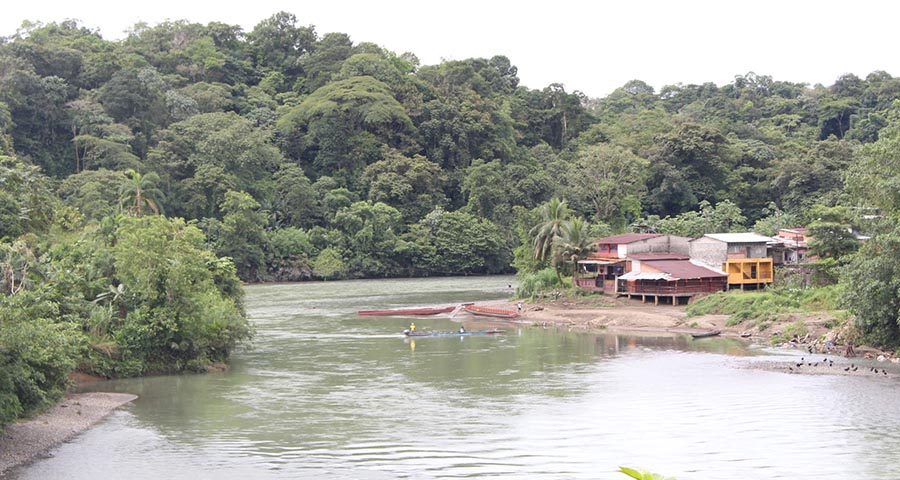 Río Condoto, espejo de árboles.
