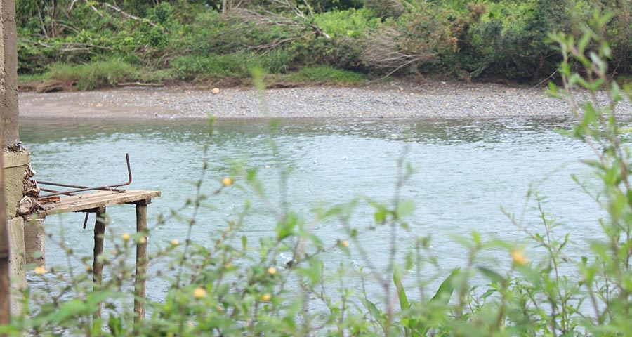 Tierra verde. Fotografía: Klarem Valoyes Gutiérrez