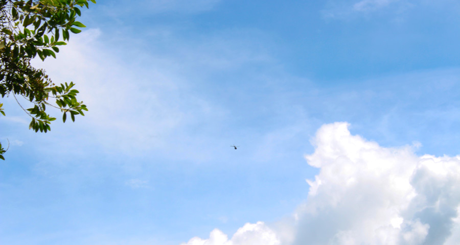El helicóptero vigila que no haya actividad de extraccción.