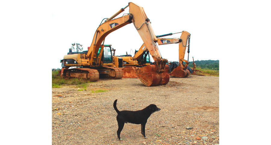 Negro’ cuida la mina