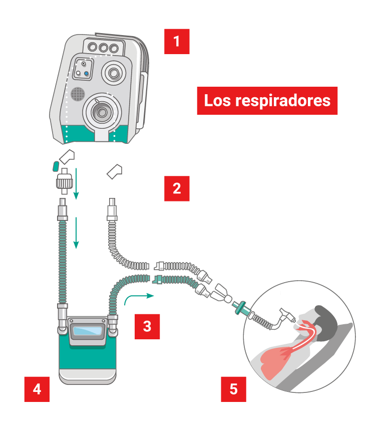 Especiales Semana