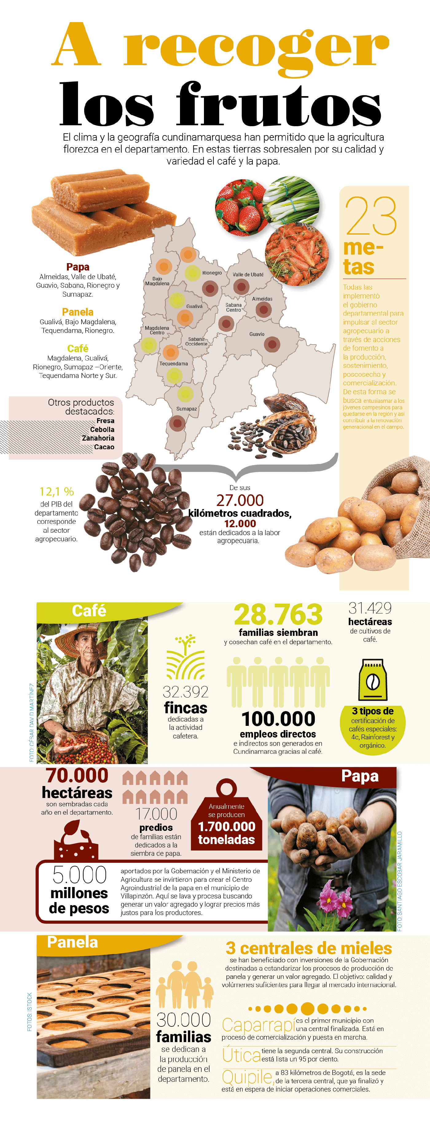 Infografía papas.